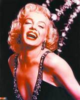 ����������¶