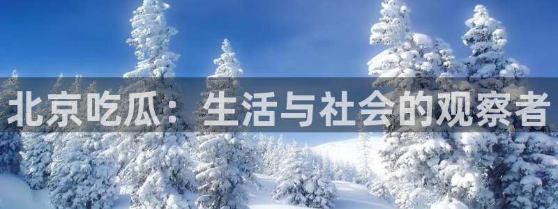 吃瓜今日吃瓜热门大瓜:北京吃瓜:生活与社会的观察者