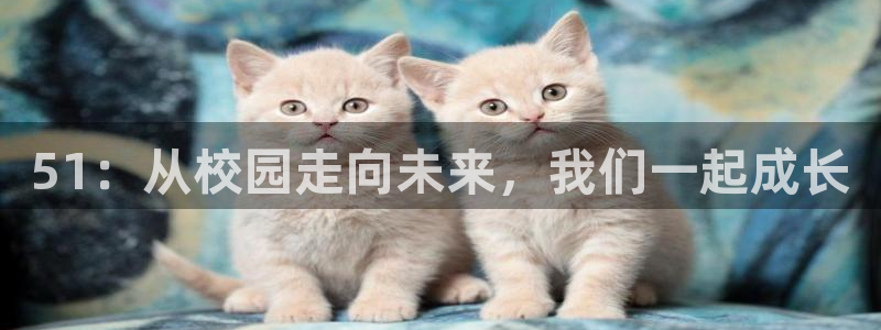 51吃瓜nanataipei:51:从校园走向未来,我们一起成长