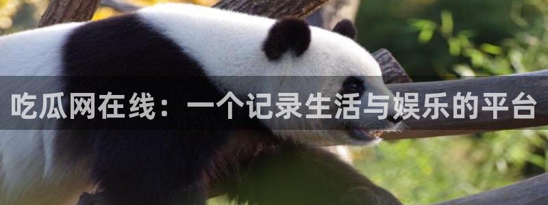 51吃瓜全网更新最快:吃瓜网在线:一个记录生活与娱乐的平台