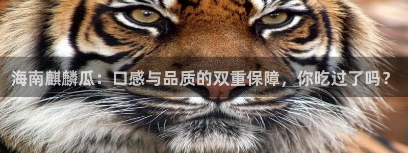 51吃瓜网今日榜单:海南麒麟瓜:口感与品质的双重保障,你吃过了吗?