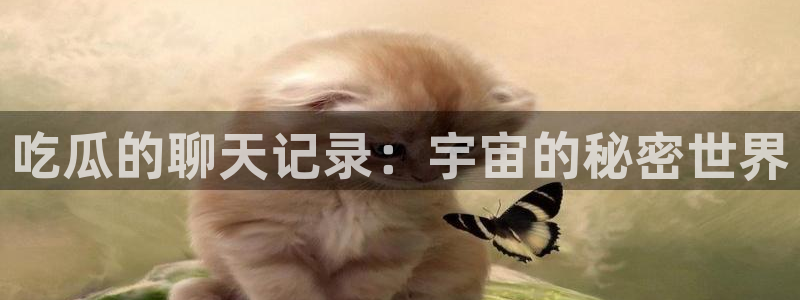 黑料,:吃瓜的聊天记录:宇宙的秘密世界
